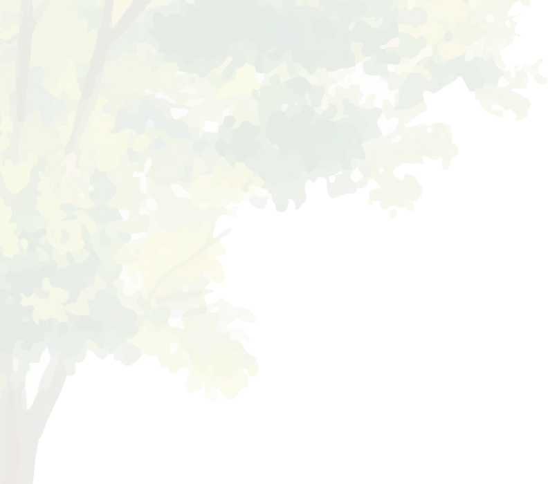 木のイラスト | 株式会社やすら木