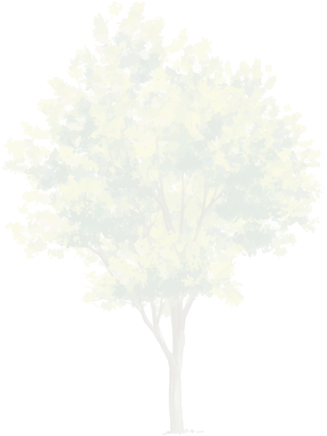 木のイラスト | 株式会社やすら木