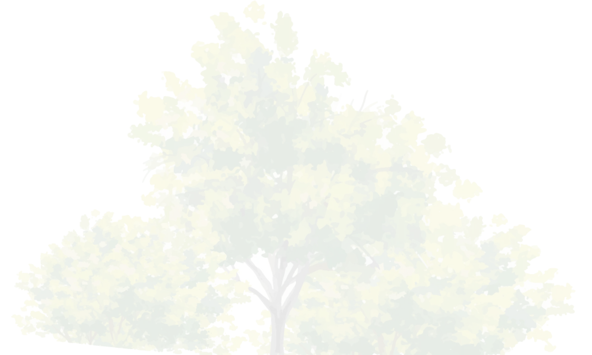 木のイラスト | 株式会社やすら木